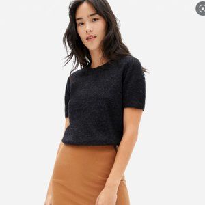 Everlane The Alpaca Sweater Tee